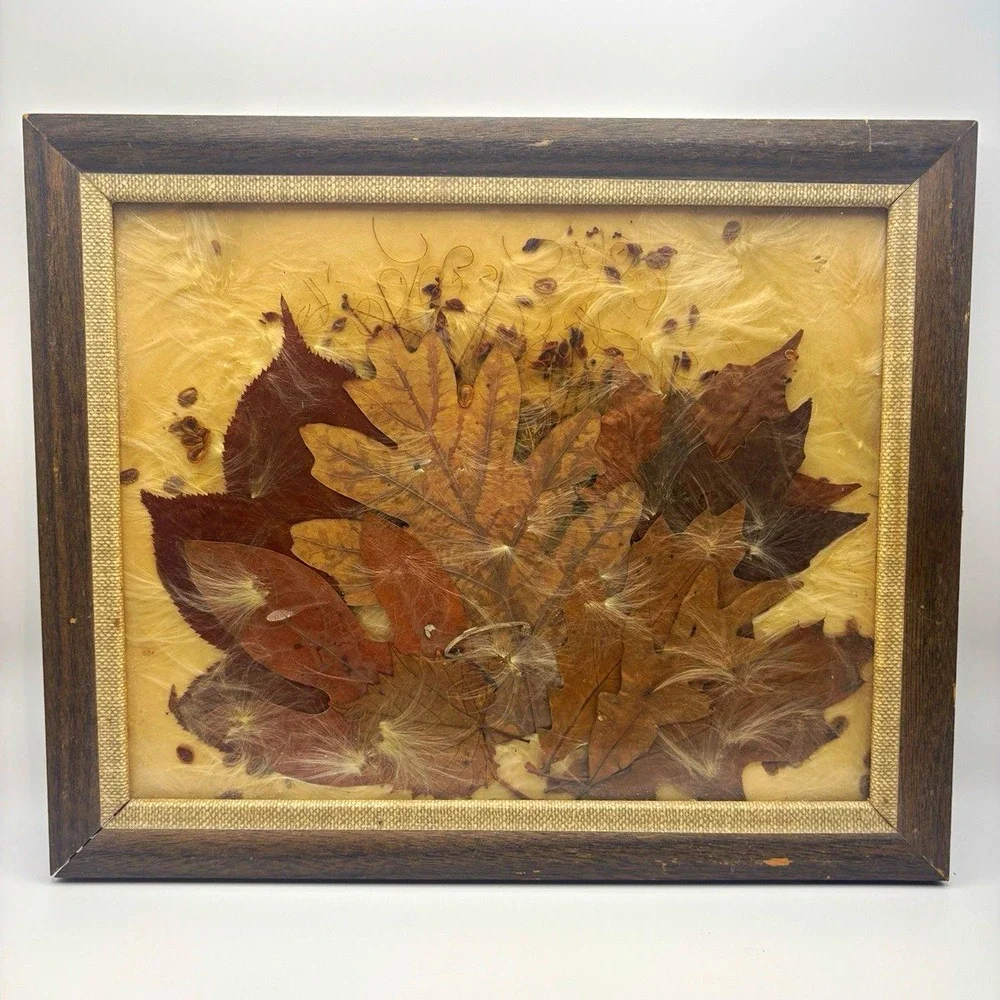 VTG 1971 Framed Pressed Leaf Collage Art Real Dried Autumn Botanical Mixed Media